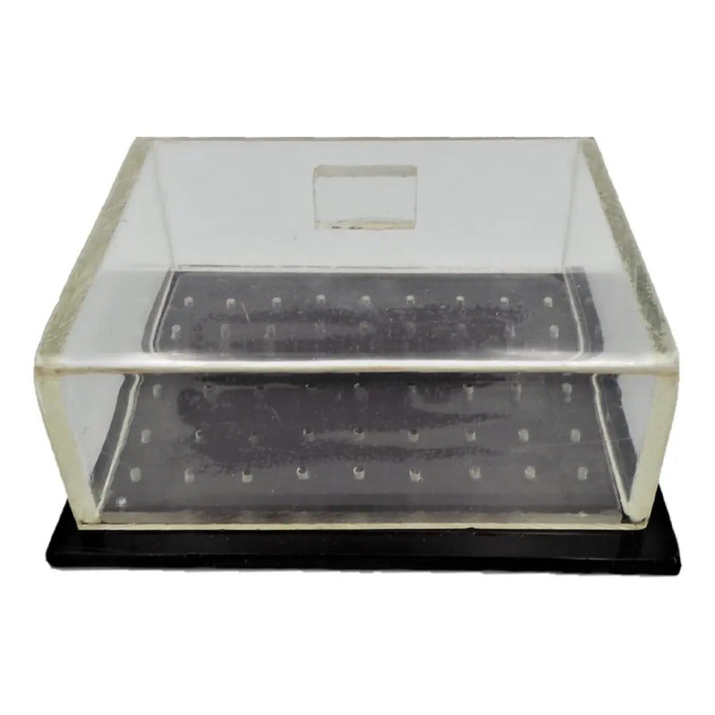 10 Cajas Portafresas P/54 Unidades